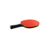 Donic-Schildkroet CarboTec 3000 Table Tennis Paddle