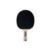 Donic-Schildkroet Legends 800 FSC Table Tennis Paddle