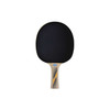 Donic-Schildkroet Legends 300 FSC Table Tennis Paddle