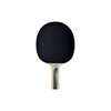 Donic-Schildkroet Legends 400 FSC Table Tennis Paddle