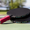 Donic-Schildkroet Sensation 600 Table Tennis Paddle