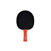 Donic-Schildkroet Waldner 600 Table Tennis Paddle