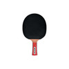 Donic-Schildkroet Waldner 1000 Table Tennis Paddle