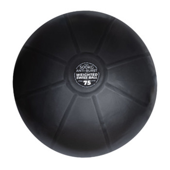 1kg Weighted Swiss Ball - 75cm