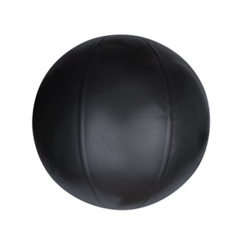 1kg Weighted Swiss Ball - 55cm