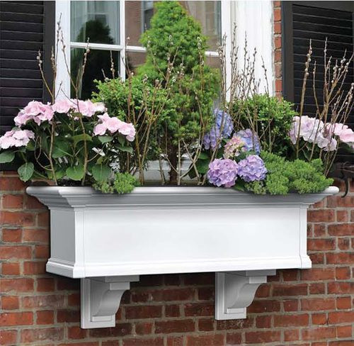 Window Boxes