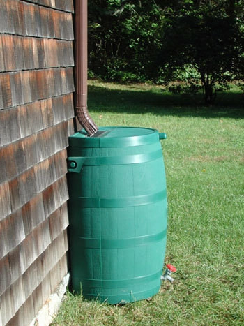 Rain Barrels