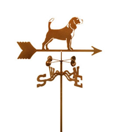 Cats, Dogs & Other Animals