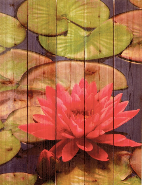 Open Air Designs WeatherPrints and Gizaun Art by D