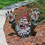 Zombie Gnome...Perfect for HALLOWEEN!