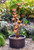 Metal Flowers Fountain 38"H