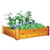 Raised Garden Bed 48x48x13 With Safe Finish