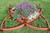 Tool-Free Classic Raised Garden Bed Versailles Sunburst 8’ x 8’ x 16.5” (2” profile) Sienna