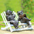Hipster Bears on Bench Garden Sculpture 15"W
