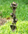 Digging Frog Trio Garden Decor 20"H