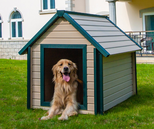 dog house for golden retriever