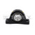 2421-0010SN