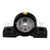 2421-0005SN