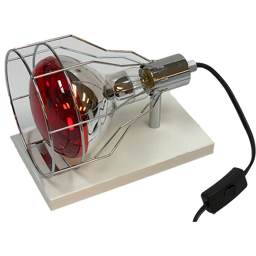 Heat Lamp w/Bulb