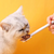 Pet Food Can Spoon And Lid, Cute Long Handle Spoon, Suitable For Wet Food, Canned Food, Snacks, Easy To Clean, Cats And Dogs Pet Food Can Spoon And Lid, Cute Long Handle Spoon, Suitable For Wet Food, Canned Food, Snacks, Easy To Clean, Cats And Dogs