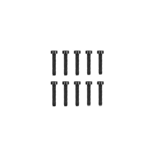 M2x10mm SHCS (10pcs)