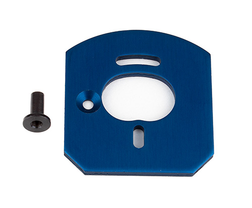 Apex 2 Motor Mount - Associated Electrics
