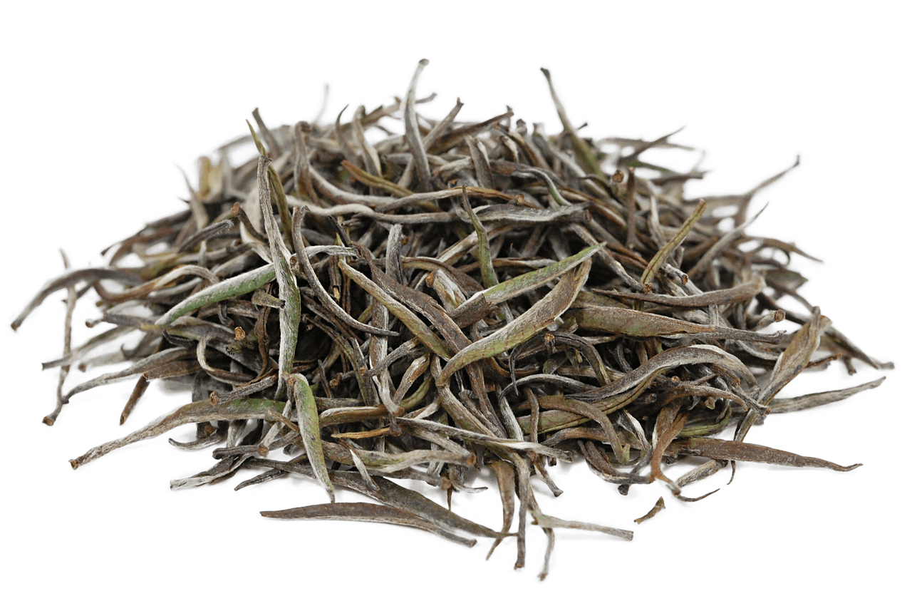 Organic Rwanda Silver Needle White Tea Loose Leaf + Fair Trade Certified
