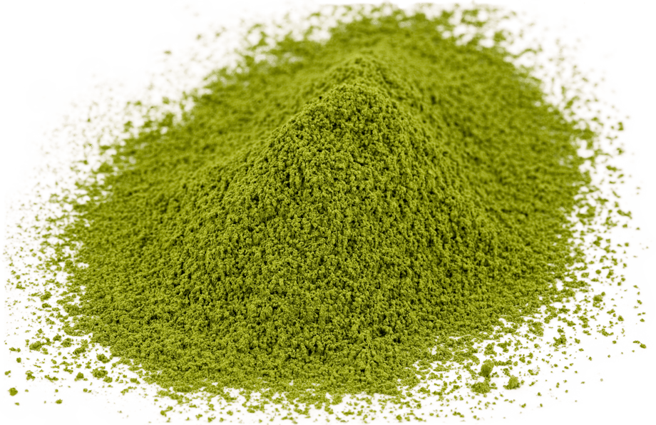 Organic Ceremonial Grade Japanese Matcha Green Tea – Tea Lab