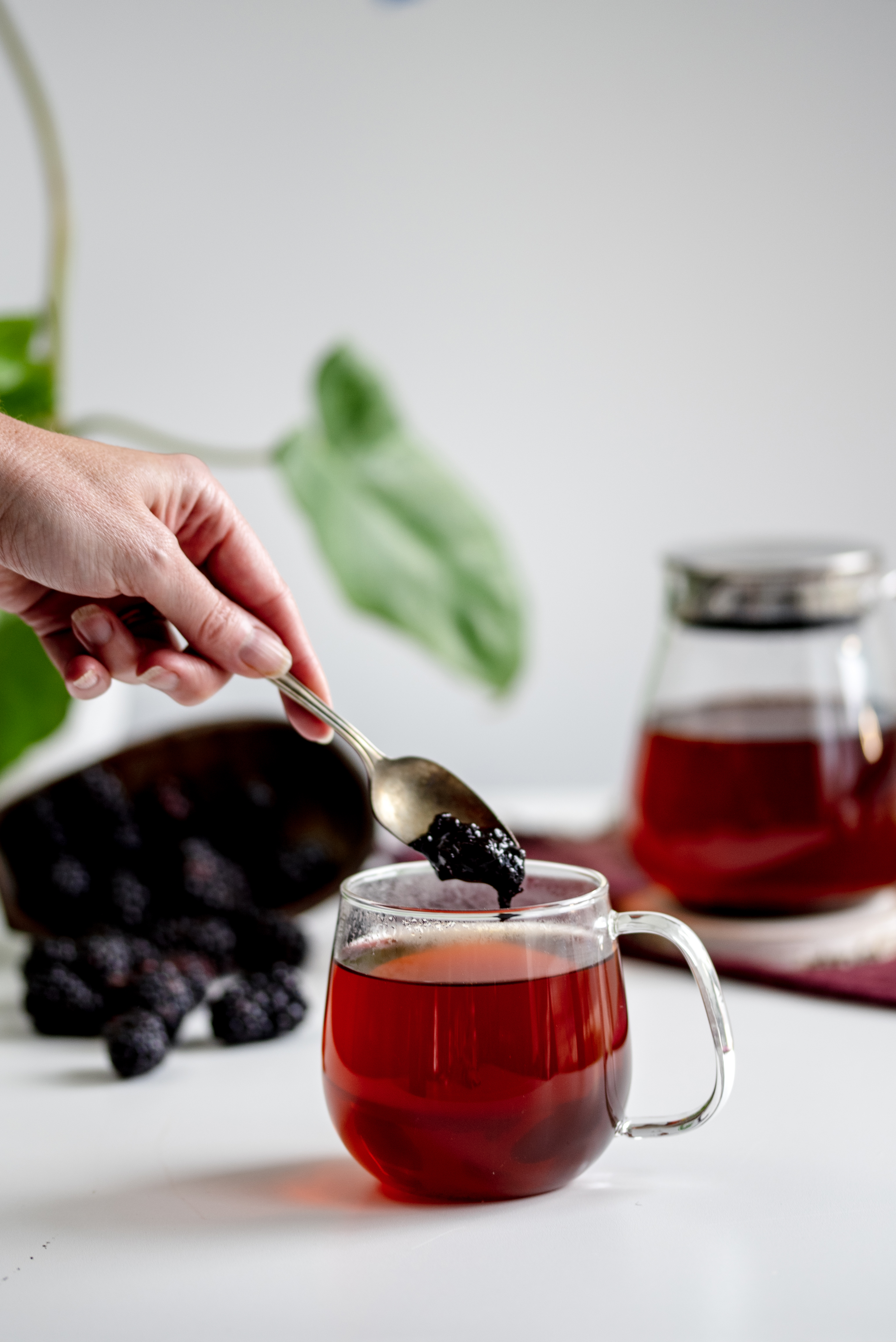 Honeybush + Blackberry Jam Drink Recipe
