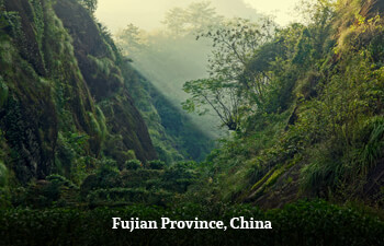 fujian-province-china.jpg fujian-province-china.jpg