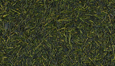 organic-green-tea-1.jpg