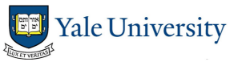 Yale University