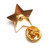 Gold Star Lapel Pins; back