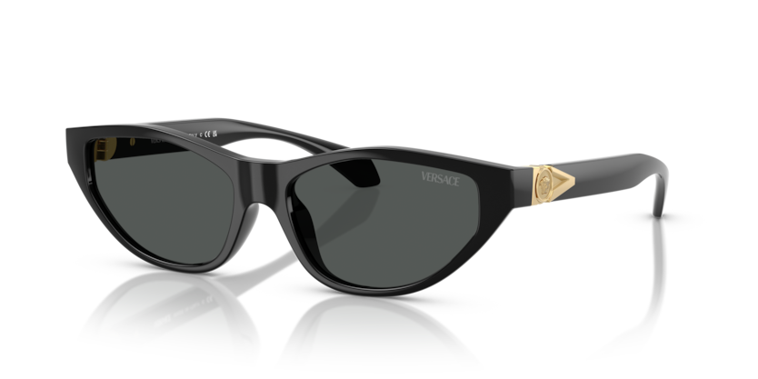 Shop for Versace 0VE4491U