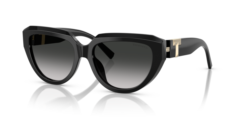 Shop for Tiffany & Co 0TF4238U