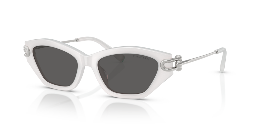 Shop for Tiffany & Co 0TF4231U