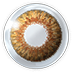 Contacts Color Honey