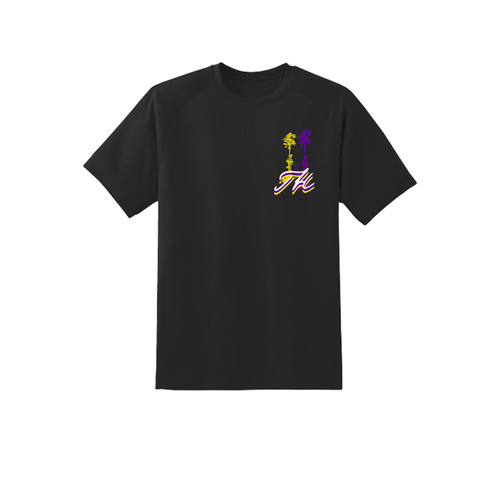 LEBRON T SHIRT (S)