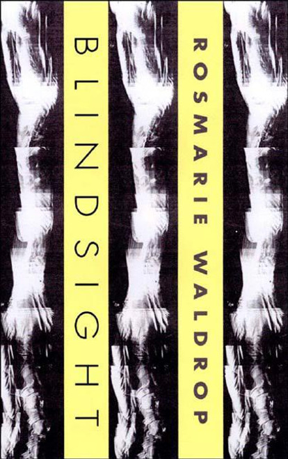 Blindsight : A New Directions Book