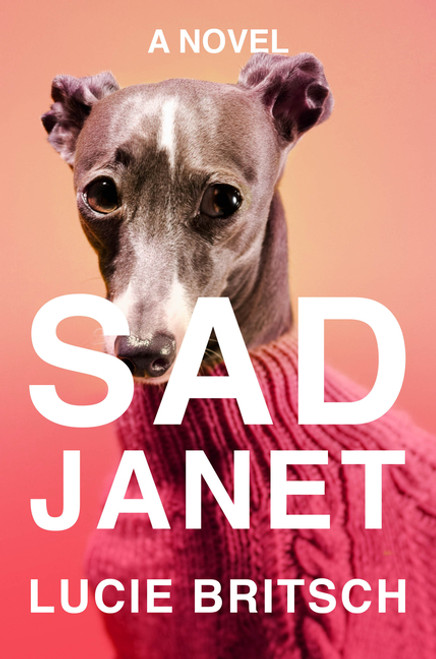 Sad Janet: A Novel