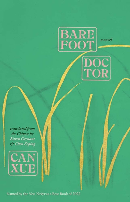 Barefoot Doctor: A Novel