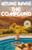 The Compound: A Novel
