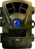 6404341_sd.jpg