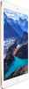 41NT06mpAVL._SL500_.jpg