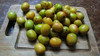 Natural Hong Plum