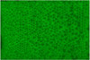 Glow in the dark green