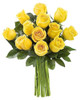 Yellow Rose Yellow Rose