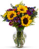 Assorted Colors