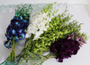 Purple Green White and Dyed Blue