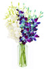 41R2gRcPh-L._SL500_.jpg
